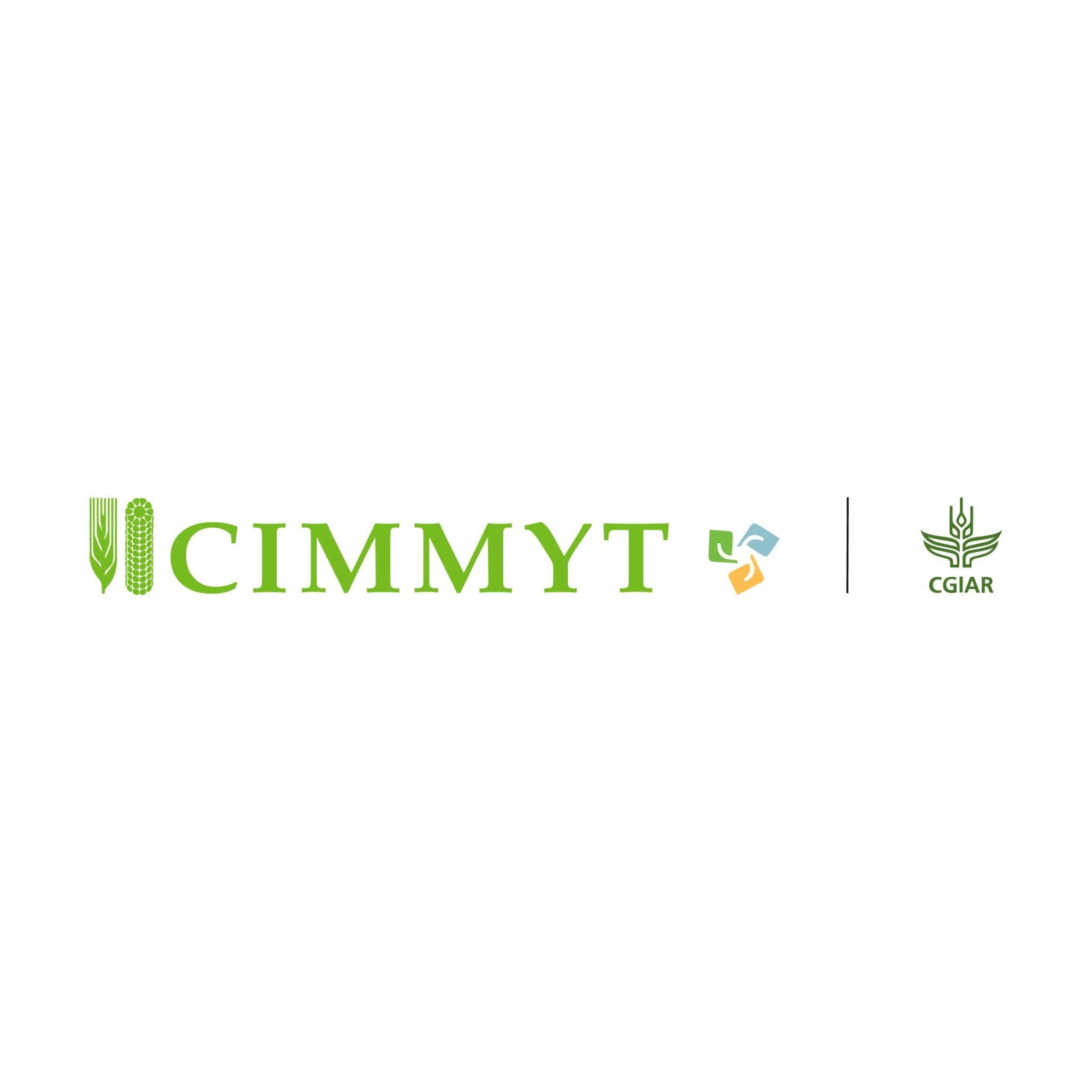 cimmty